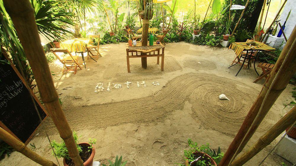 Blatha Tropical Rooms Holbox Exteriör bild