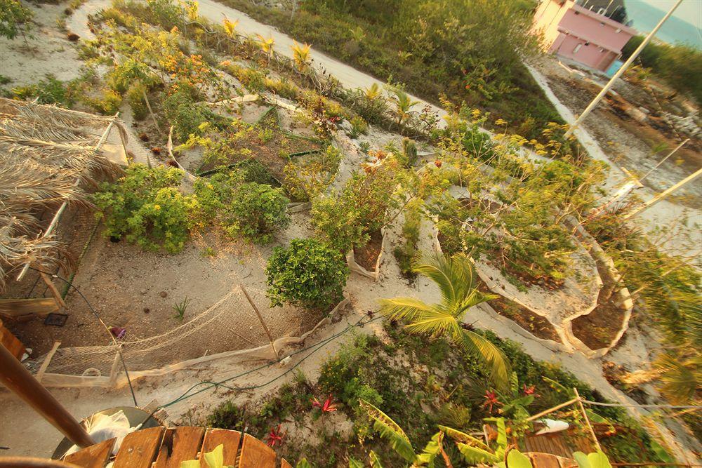 Blatha Tropical Rooms Holbox Exteriör bild