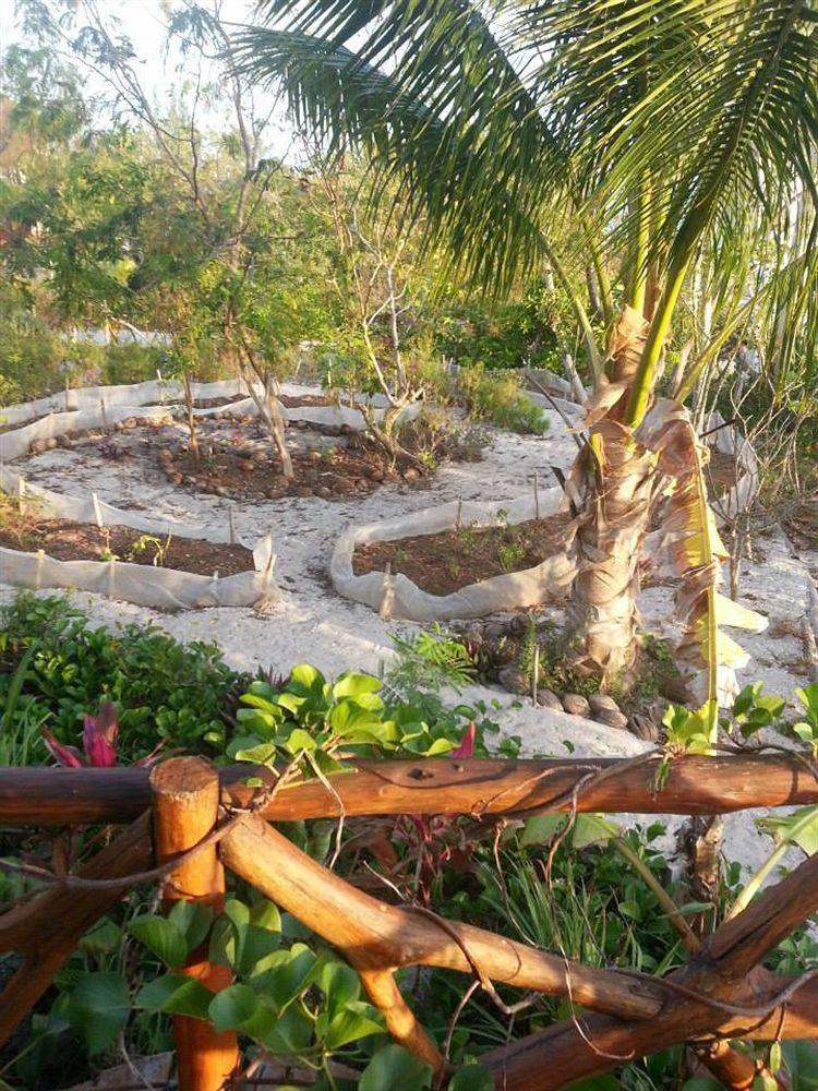 Blatha Tropical Rooms Holbox Exteriör bild