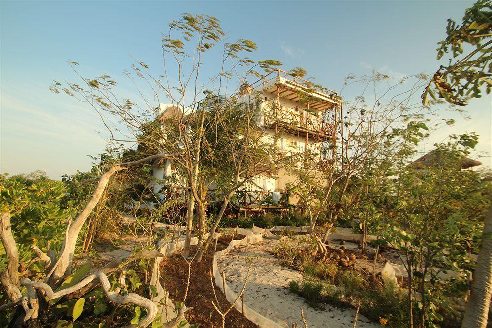 Blatha Tropical Rooms Holbox Exteriör bild